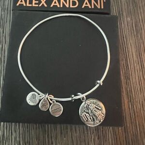 Alex and Ani Silver Virgo Charm Bracelet